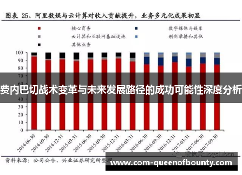 费内巴切战术变革与未来发展路径的成功可能性深度分析